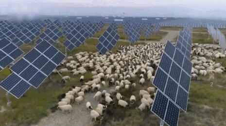 【電廠】2018年水電再次霸屏央視 水光互補(bǔ)項(xiàng)目閃亮登場(chǎng)！【電廠】2018年水電再次霸屏央視 水光互補(bǔ)項(xiàng)目閃亮登場(chǎng)！ 行業(yè)資訊 第6張
