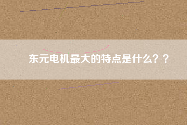 東元電機(jī)最大的特點(diǎn)是什么？？