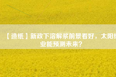 【造紙】新政下溶解漿前景看好，太陽紙業(yè)能預(yù)測未來？