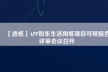【造紙】APP如東生活用紙項(xiàng)目可研報(bào)告評審會(huì)議召開